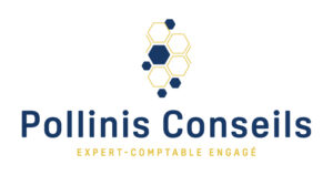 POLLINIS CONSEILS
